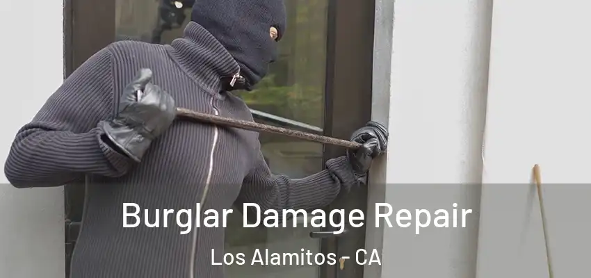  Burglar Damage Repair Los Alamitos - CA