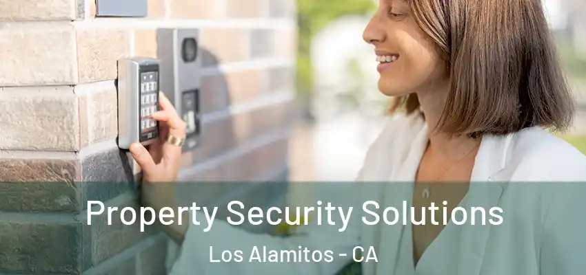 Property Security Solutions Los Alamitos - CA